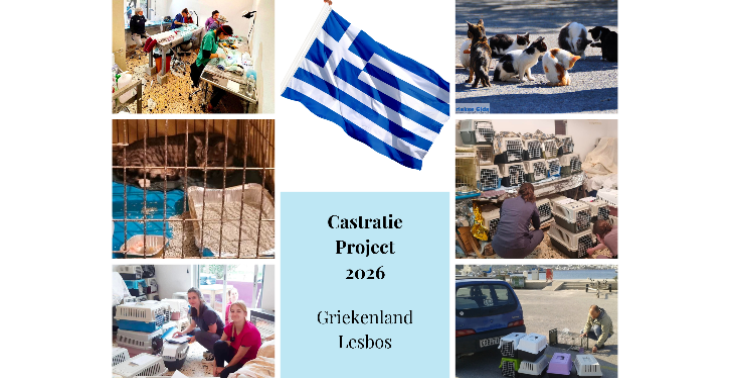 Castratie Project Griekenland
