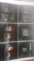 img 20211208 wa0004
