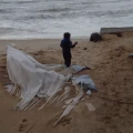 collapsed tent fatima