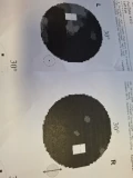 1000146123