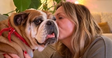 Help mijn soul dog Lola aan een gezonde toekomst ❤️