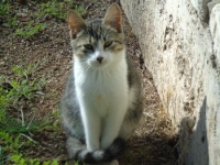 dsc00567