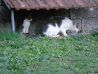 dsc00569