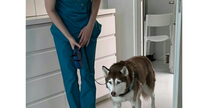 Operatie lieve Luna
