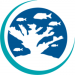 Reef Renewal Foundation Curaçao 