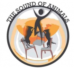 The Sound Of Animals