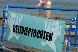 Reitdieptochten
